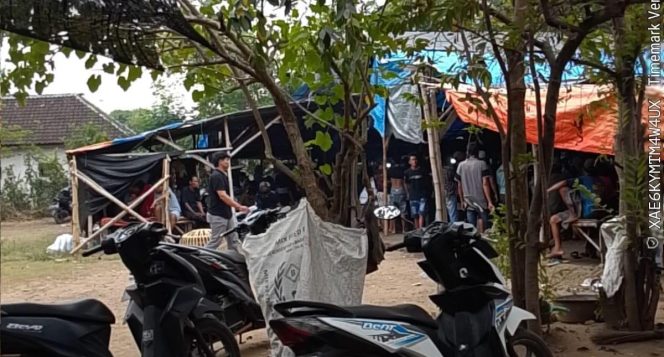 
					Dugaan Judi Sabung Ayam dan Dadu di Lekok Disorot, Warga Desak Polda Jatim Bertindak